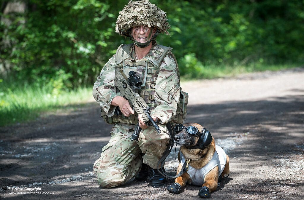 US Army Dogs Enter ‘Augmented Reality’