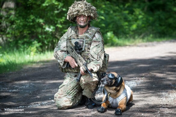 Heather Jackson US Army Dog